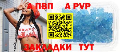кокс Донской