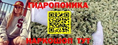 кокс Донской
