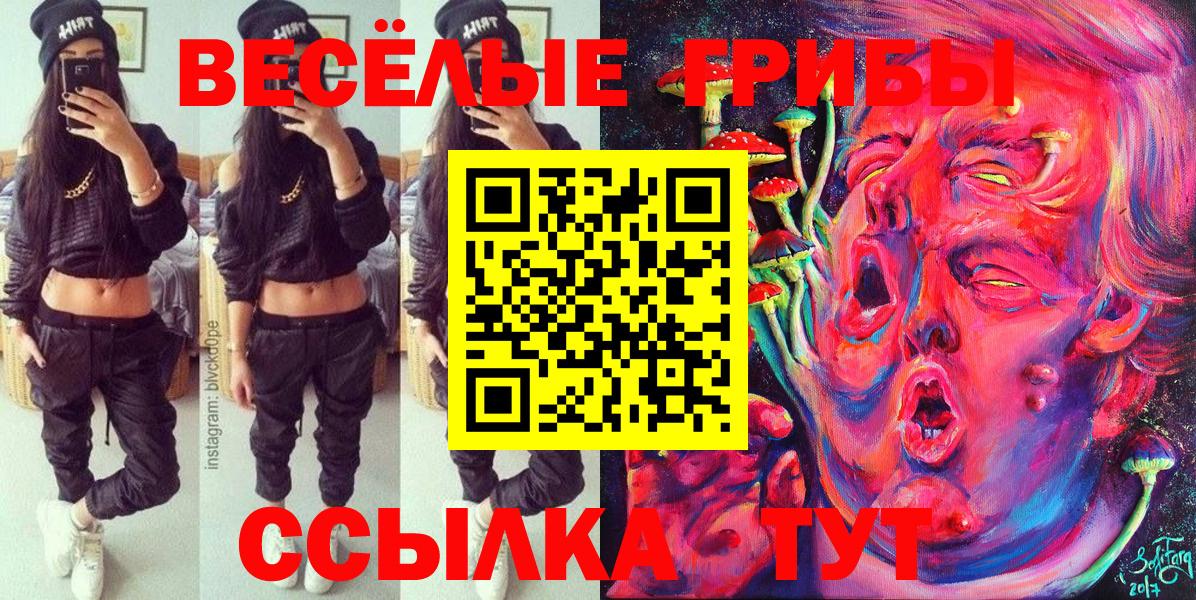 Можга  магазин продажи наркотиков  Вход с VPN  Галлюциногенные грибы мицелий 